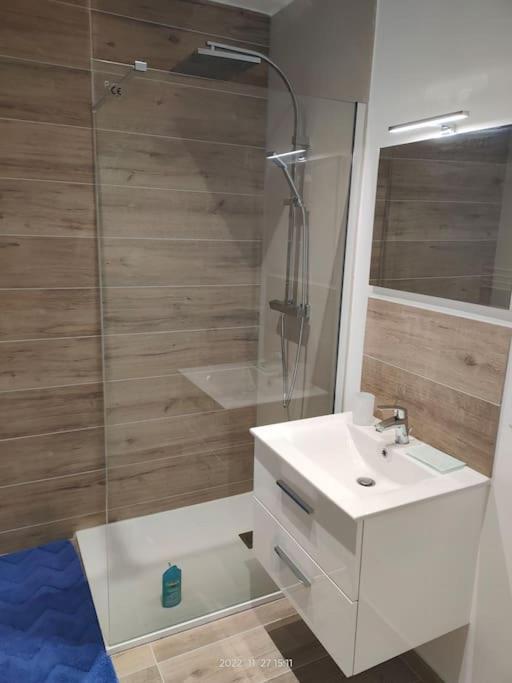 Logement Complet A Villeurbanne Eksteriør bilde